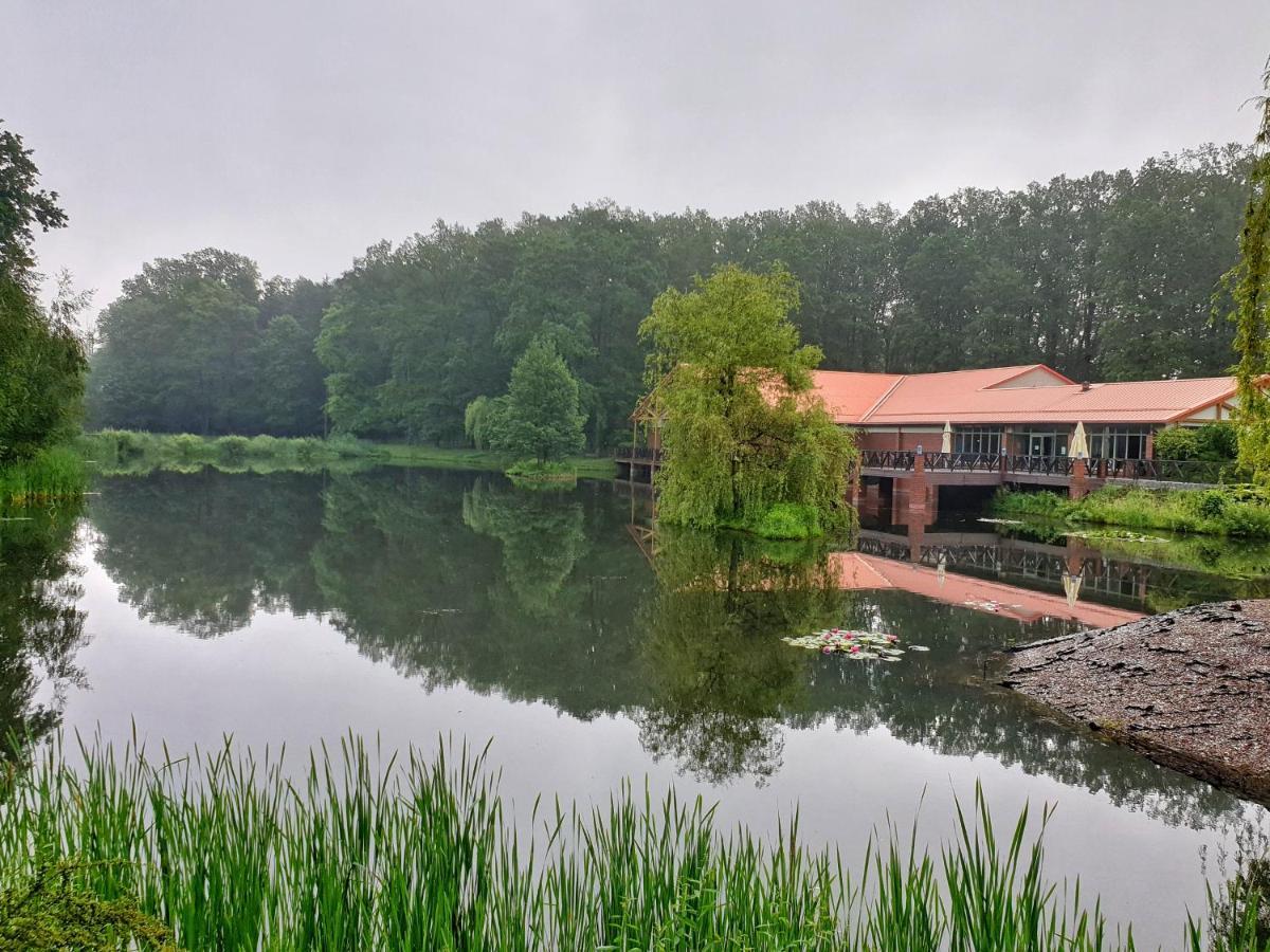 Stacja Nowa Gdynia Bed & Breakfast Aquapark Zgierz Exterior photo