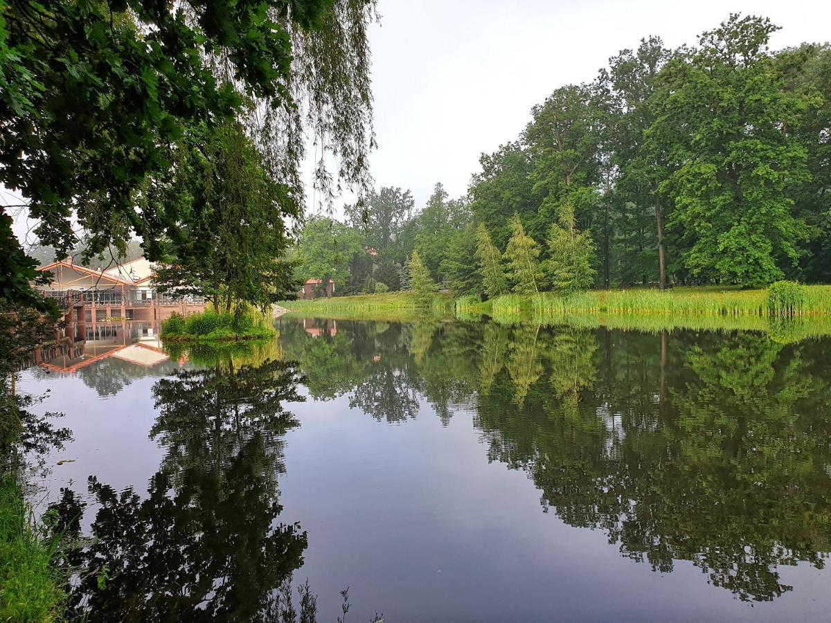 Stacja Nowa Gdynia Bed & Breakfast Aquapark Zgierz Exterior photo
