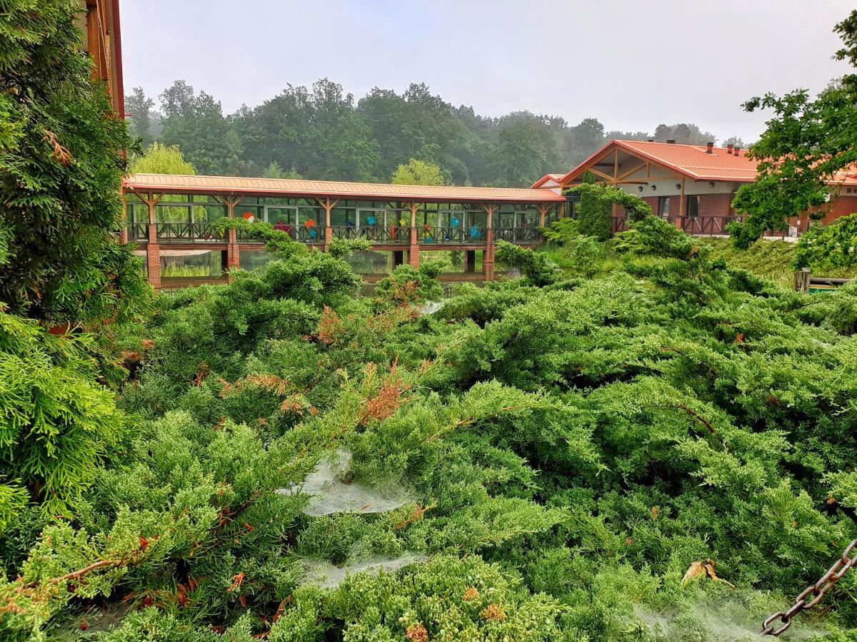 Stacja Nowa Gdynia Bed & Breakfast Aquapark Zgierz Exterior photo