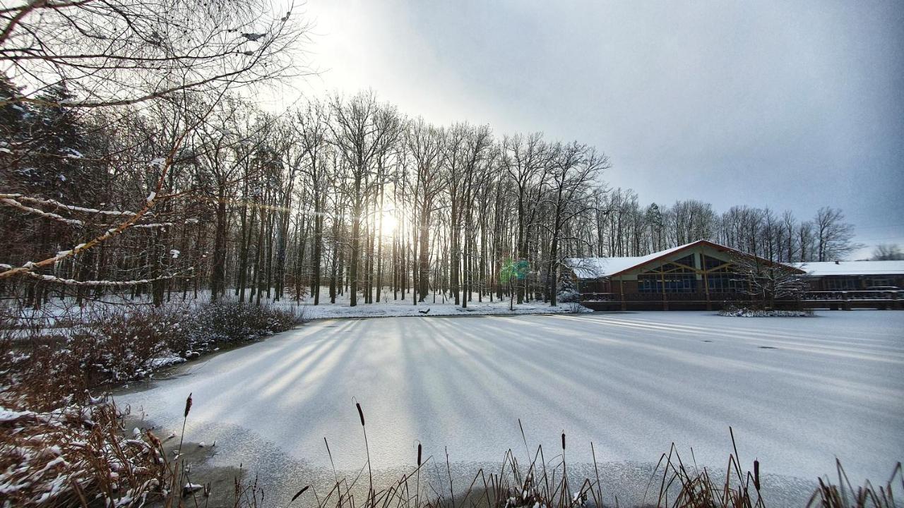 Stacja Nowa Gdynia Bed & Breakfast Aquapark Zgierz Exterior photo