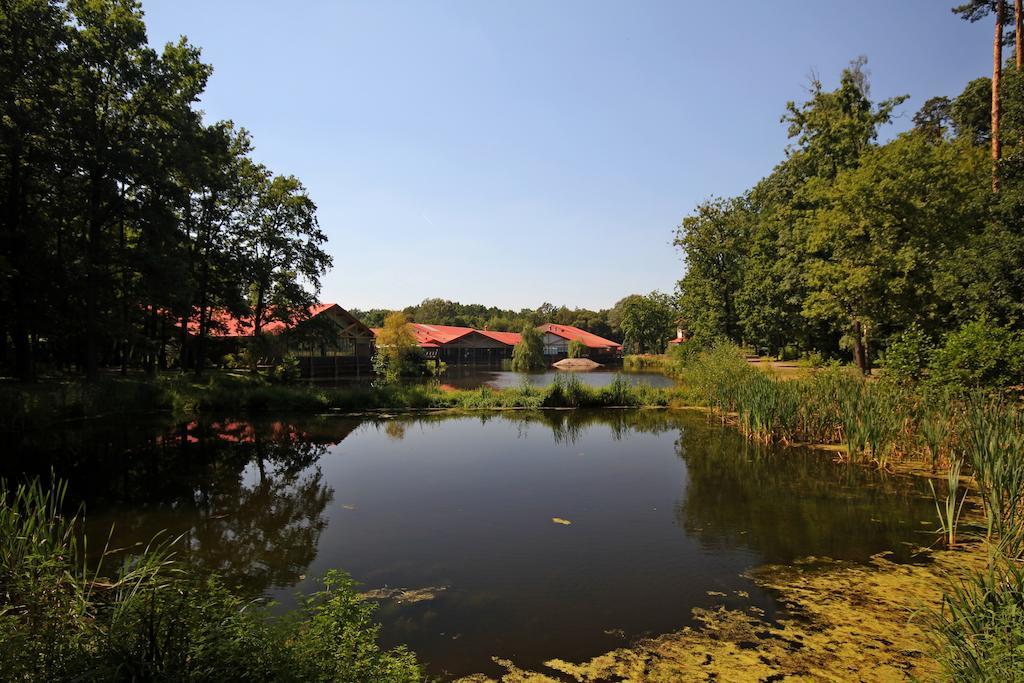 Stacja Nowa Gdynia Bed & Breakfast Aquapark Zgierz Exterior photo